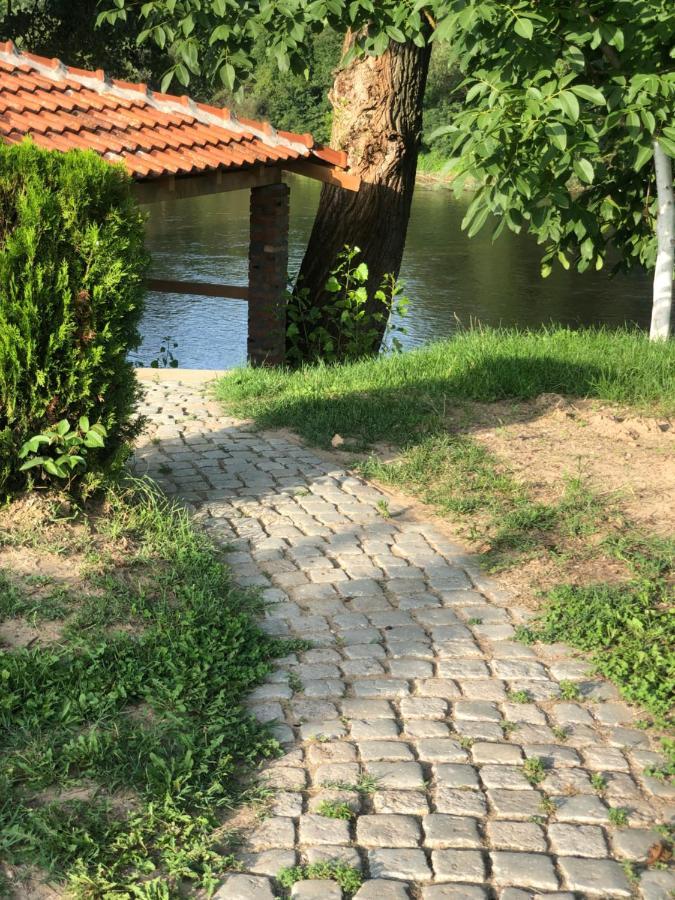 Apartmani Morava 54 Kocino Selo Eksteriør billede